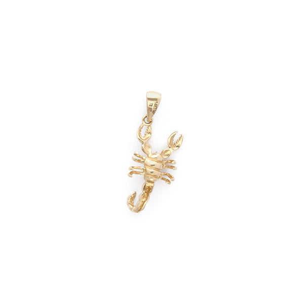 Dije diseño especial motivo escorpión en oro amarillo 14 kilates