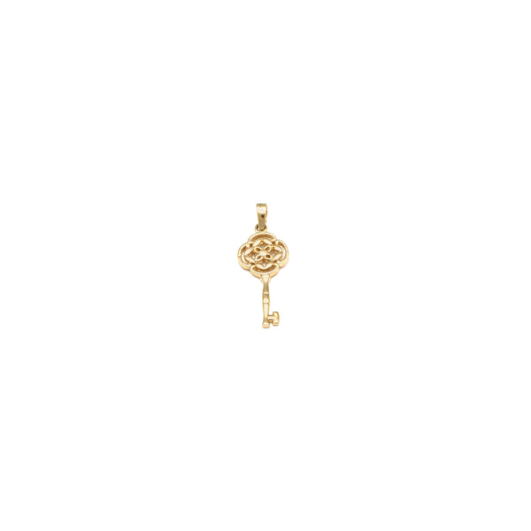 Dije diseño especial motivo llave en oro amarillo 14 kilates.
