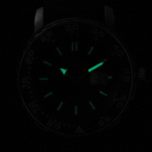 Reloj Nivada para dama modelo Skymaster.