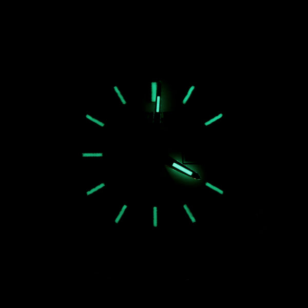 Reloj Citizen para dama en acero inoxidable vistas chapa.