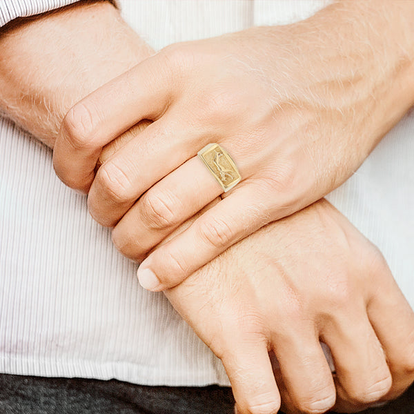 Anillo tipo sello motivo pantera en oro amarillo 14 kilates.
