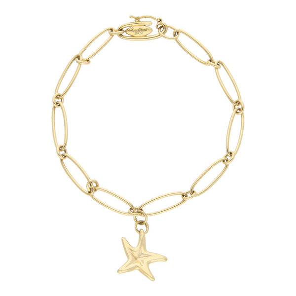 Pulsera eslabón uno por uno con colgante motivo estrella firma Tiffany & Co. en oro amarillo 18 kilates.