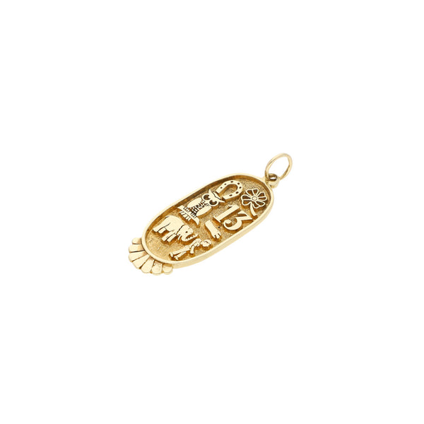 Dije diseño especial motivos de la suerte en oro amarillo 14 kilates.