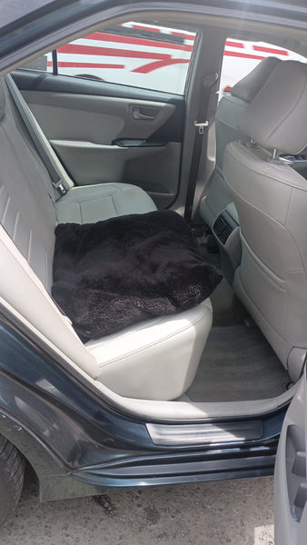 TOYOTA CAMRY XLE TA